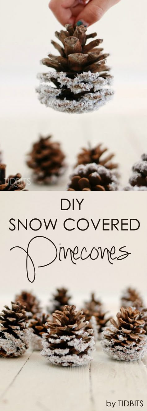 Add elegant rustic charm to your Christmas decor with these easy and inexpensive DIY Frosted Pinecones Pinecone Ideas, Diy Snow, Winter Decorations, Cones Crafts, Pine Cone Crafts, Navidad Diy, Pumpkin Muffins, Noel Christmas, Pine Cone