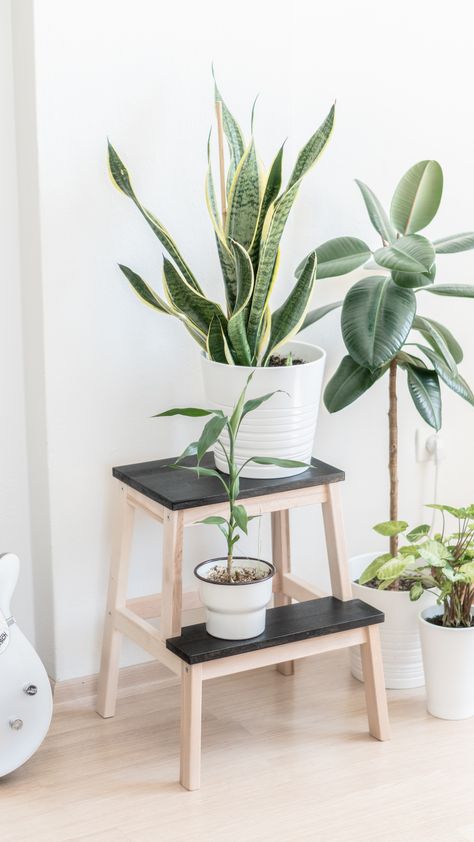 Ikea Plant Stand Hack, Plant On A Stool, Plant On Stool, Ikea Plants Ideas, Ikea Plant Hacks, Ikea Bekvam Hack, Bekvam Ikea, Bekvam Stool, Ikea Plant Stand