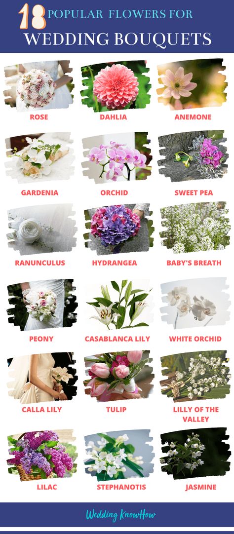 If you’ve been struggling to select the right wedding flowers for your special day, check out our list of the top 15 most popular wedding flowers. Popular Bouquet Flowers, Most Popular Wedding Flowers, Popular Flowers For Bouquets, April Wedding Flowers, Popular Wedding Flowers, Wedding Flower Types, Flower Arragement, Expensive Flowers, July Flowers