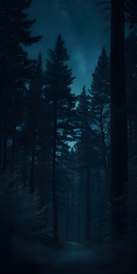 Dark Forest Aesthetic Night, Night Forest Background, Wald Wallpaper, Midnight Forest, Forest At Night, Sci Fi Wallpaper, Dark Forest Aesthetic, Dark Landscape, Amoled Wallpapers