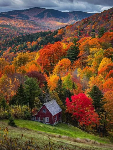 Autumn Nature Aesthetic, Autumn Photography Nature Landscapes, Vermont Fall Wallpaper, Autumn In The Mountains, Mountains In Autumn, Crisp Autumn Morning, Autumn View Landscapes, Fall Landscapes, Green Mountains Vermont