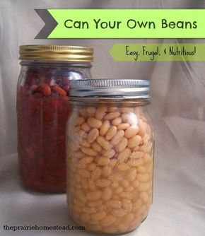 Canning Beans, The Prairie Homestead, Prairie Homestead, Canning 101, Navy Beans, Preserving Foods, Canning Vegetables, Canning Food Preservation, Canned Food Storage