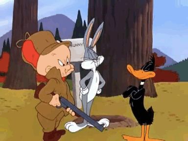 Looney Tunes: Bugs Bunny, Daffy Duck & Elmer Fudd Warner Brothers Cartoons, Rabbit Season, Duck Season, Elmer Fudd, Looney Tunes Cartoons, Saturday Morning Cartoons, Daffy Duck, Favorite Cartoon Character, Good Cartoons