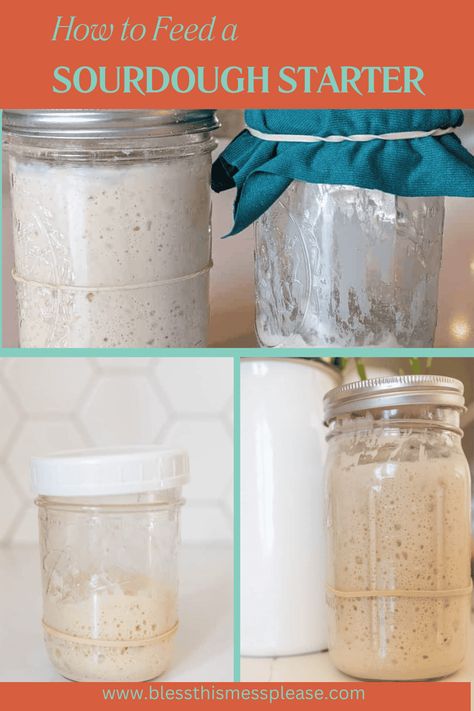 Here is the complete guide for how to feed a sourdough starter. When your sourdough starter is established, keeping it happy and active is key to producing delicious, crusty loaves of bread. Feed Sourdough Starter, Simple Bread Recipes, Best Sourdough Bread, Chicken Easy Recipes, Easy Sourdough Recipes, Oven Baked Chicken Legs, Easy Dinner Desserts, Yeast Bread Rolls, Basic Bread Recipe