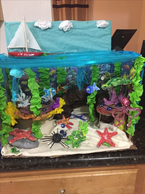 Coral reef project Coral Reef Habitat Project, Coral Reef Shoebox Project, Coral Reef Diorama Projects, Ocean Diaroma Ideas, Hydrosphere Project, Ocean Diorama Project Under The Sea, Ocean Diorama Project, Coral Reef Diorama, Axolotl Craft