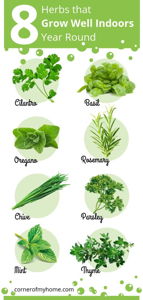 To successfully grow indoor herbs year round, choose herbs that grow well indoor. Repin this to your gardening box and #growyourownherbs today. Indoor Garden Decor Ideas, Herbs For Indoors, Year Round Herb Garden, Indoor Herb Garden Grow Light, Grow Food Indoors Year Round, Indoors Garden, Winter Herbs Indoor, Home Herb Garden Indoor, Indoor Winter Herb Garden