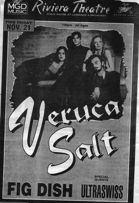 Veruca Salt Poster Band, Veruca Salt Poster, Veruca Salt Band, Louise Post, Nina Gordon, Veruca Salt, Widget Aesthetic, Grey Eyeshadow, Riot Grrrl