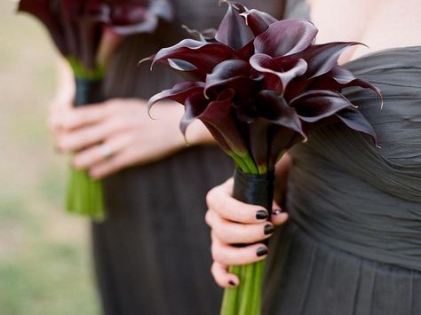 Symbolic Meanings of Wedding Flowers  | Photo by: Q Weddings | TheKnot.com Calla Lily Bridesmaid Bouquet, Calla Lillies Bouquet, Black Calla Lily, Wedding Burgundy, Calla Lily Wedding, Calla Lily Bouquet, Tropical Wedding Flowers, Lily Wedding, Lily Bouquet