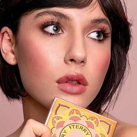 Blush, Bronzer, and Face Masks Terry Makeup, Rosehip Oil Benefits, Brightening Powder, Rose Face Mask, Rose Face, Makeup News, Dark Complexion, Skincare Cosmetics, Color Correcting