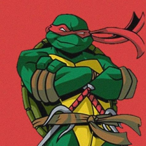 Raph Ninja Turtles, Rafael Ninja Turtle, Ninja Turtles Rafael, Rafael Tmnt, Rabbit Samurai, Tmnt Au, Ninga Turtles, Tmnt Raphael, Tmnt 2003