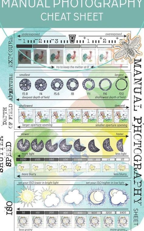 Manual photography is difficult to learn. Reference this DSLR cheat sheet to help remind you of the settings for exposure, aperture, depth of field, ISO, and shutter speed. #photography #dslr#introtophoto #manualphotography#introtophotography #tpt #teacherspayteachers#aperture #shutterspeed #ISO #depthoffield#exposure Dslr Cheat Sheet, Aperture Depth Of Field, Manual Mode Photography, Beginner Photography Camera, Deep Depth Of Field, Photography Dslr, Speed Photography, Shutter Speed Photography, Manual Photography