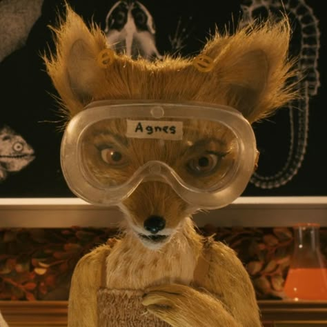 Agnes Fantastic Mr Fox Cosplay, Kristofferson Fantastic Mr Fox Pfp, Fantastic Mister Fox Movie, Fantastic Mr Fox Matching Pfp, Fantastic Mr Fox Agnes, Fantastic Mr Fox Pfp, Fantastic Mr Fox Ash, Fantastic Mr Fox Aesthetic, Fantastic Mr Fox Costume