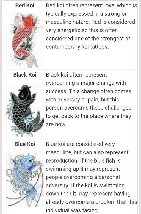 Japanese Tattoos For Women, Karp Koi, Japanese Tattoo Women, Tato Ikan Koi, Tato Naga, Koi Tattoo Design, Tato Dengan Makna, Blue Koi, Ikan Koi