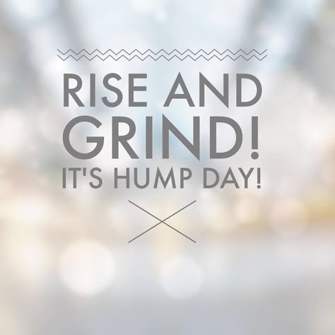 Good Morning! Wake up and make things happen today!😉 You are a goal crusher! Pow! 👊🏽 Happy Hump Day! Camel Quote, Funny Wednesday Memes, Hump Day Quotes, Wednesday Morning Quotes, Hump Day Humor, Rise And Grind, Positive Quotes For Work, Short Friendship Quotes, Happy Wednesday Quotes