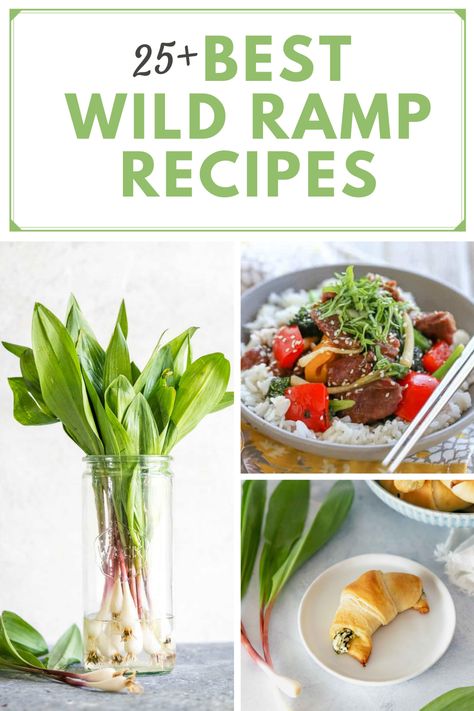 Leaks Recipe Ideas, Ramp Recipes Wild, Wild Ramp Recipes, Ramps Recipe, Ramp Recipes, Wild Leeks, Wild Ramps, Foraging Recipes, Foraged Food