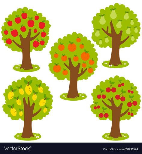 Tree Vector Illustration, Farm Cartoon, Fruit Orchard, Trees Vector, Tree Cut Out, Tree Orange, Fruit Bearing Trees, Orchard Tree, Tree Vector