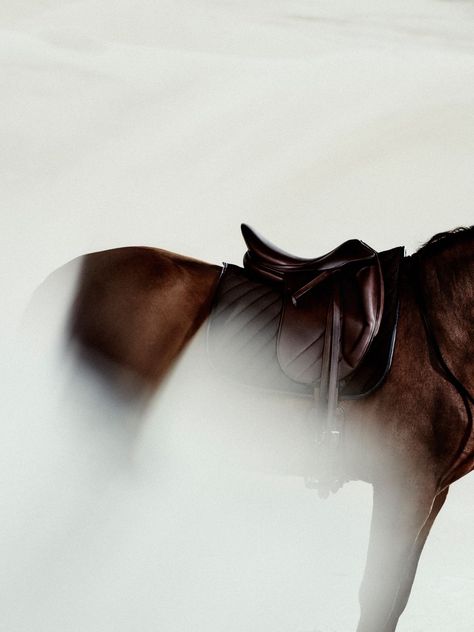 Luxury Equestrian, Photography Sport, Exclusive Event, Horse Brand, Equestrian Aesthetic, Equestrian Chic, Horse Aesthetic, Equestrian Lifestyle, All The Pretty Horses