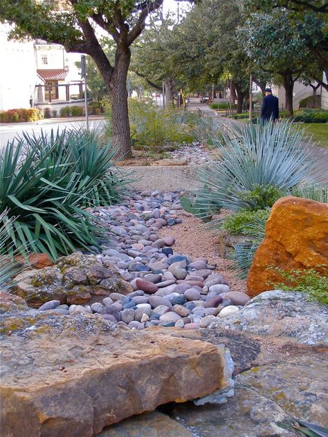 Dry gardening for arid climates. No special watering required. Usually involves native plants, as here. Seen in front of the biology buildings on the University of Texas campus, Austin. Read more here: www.utexas.edu/know/2011/08/12/xeriscaping_ut/ Xeriscape Front Yard, Texas Landscaping, Xeriscape Landscaping, Landscape Planning, Drought Tolerant Landscape, Texas Gardening, Dry Garden, Creek Bed, Rock Garden Landscaping