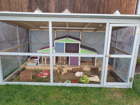 Pet Bunny Rabbits, Guinea Pig Cage, Pet Bunny, Rabbit Hutches, Hutch, Farm Life, Bunny Rabbit, Guinea Pigs, Villa