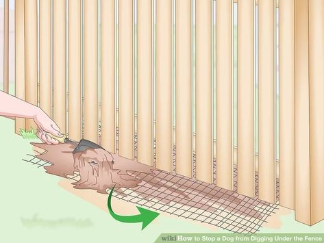 How to Stop a Dog from Digging Under the Fence: 8 Steps Stop Dog From Digging Under Fence, How To Keep A Dog From Digging Under A Fence, Dog Proof Fence Digging, Keep Dogs From Digging Under Fence, Stop Dog Digging Under Fence, Under Deck Dog Area, Dog Digging Under Fence, Dog Window In Fence, Dog Proof Fence