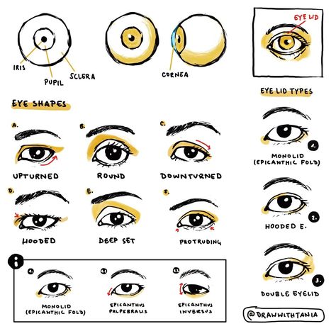 Eye drawing tutorial | eyes drawing tutorial | how to draw eyes | eye tutorial | eyes tutorial | how to draw | drawing tutorial | sketch | sketch ideas | art sketchbook Drawing Tutorial Eyes, An Eye Drawing, Eyes Drawing Tutorial, Tutorial Sketch, How To Draw Eyes, Eyes Tutorial, Teary Eyes, Practice Makes Perfect, Eye Tutorial