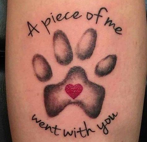 12+ Best Basset Hound Tattoo Ideas | Page 4 of 10 | The Paws Place Tattoo, Tatoo Dog, Dogs Tattoo, Lucky Ducky, Dog Memorial Tattoos, Pawprint Tattoo, Dog Paw Tattoo, Tattoo Dog, Petit Tattoo