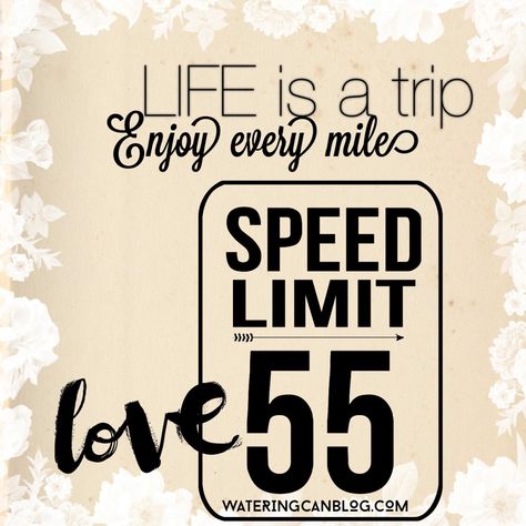 55 Birthday Ideas, Speed Limit Birthday, 55th Birthday Ideas, 55th Birthday Party Ideas, 55th Birthday Decorations, Happy 55th Birthday, 55th Birthday Gifts, 59 Birthday, Birthday Wishes For Him