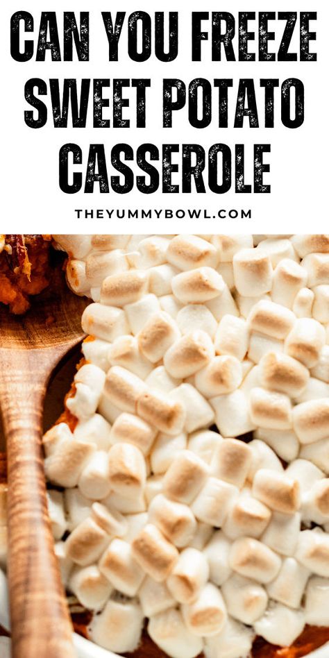 sweet potato casserole with marshmallows. Sweet Potato Caserole, Leftover Sweet Potato Casserole, Canned Sweet Potato Casserole, Leftover Sweet Potato, Sweet Potato Casserole Crock Pot, Baked Sweet Potato Casserole, Ruths Chris Sweet Potato Casserole, Yummy Bowl, Casserole To Freeze