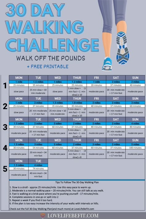 Free printable walking challenge 30 Day Walking Challenge For Beginners, Walk Challenge 30 Day, Walking Challenge 30 Day Treadmill Workouts, Beginner Walking Challenge, 30 Day Walking Challenge Printable, Walking Challenge For Beginners, January Walking Challenge, Jawline Tips, 30 Day Walking Challenge