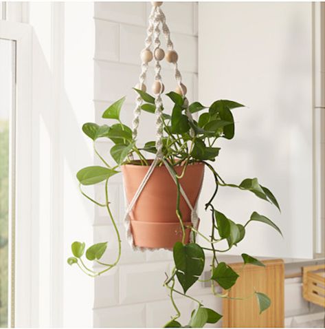 IKEA_anvandbar-hanging-plant-holder-gardenista Best Hanging Plants, Outdoor Hanging Plants, Ikea Plants, Hanging Plants Diy, Best Ikea Hacks, Ceiling Materials, Plant Window, Support Pour Plante, Ikea Shopping