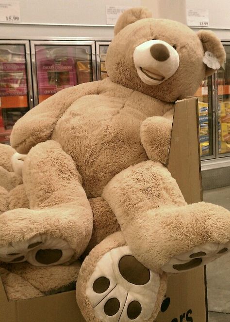 Big Teddy Bear. Saw these at Costco in July, they were HUGE, and so plush. I think if I held one up, it would have been as tall as me. Life Size Bear, Big Bear Stuff Animal, Giant Bear Plush, Big Bear Plush, Life Size Teddy Bear, Big Teddy Bears, Costco Bear, Bear Tumblr, Light Brown Teddy Bear