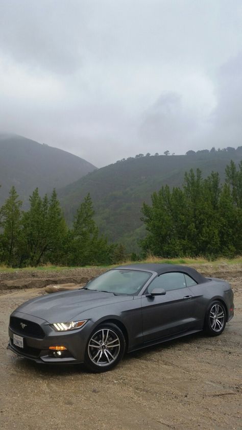 ford mustang 2015 Mustang Cabriolet, 2015 Ford Mustang, Girly Car, Ford Mustang Shelby, Mustang Cars, Ford Mustang Gt, Mustang Shelby, Mustang Gt, Car Engine