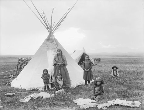 Blackfoot Tribe, Blackfoot Indian, American Indian History, Indian Pictures, American Photo, Wilde Westen, Into The West, Native American Photos, America Latina