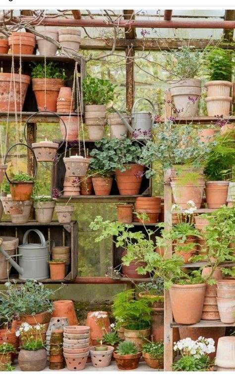 Traditional Light, Potting Tables, Potting Sheds, Garden Containers, Potting Shed, Traditional Lighting, Green House, Terracotta Pots, Clay Pots