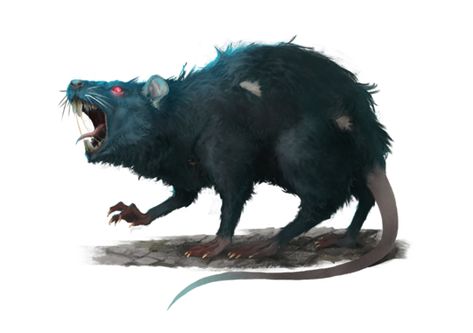 Giant Rat - Pathfinder 2E PFRPG PFSRD DND D&D 3.5 4E 5E 5th ed d20 fantasy Rat Mount Dnd, Giant Rat Art, Rat Monster, Rat Character, Pathfinder 2e, Funny Rats, D D Monsters, Dnd Monsters, Dungeons And Dragons Characters