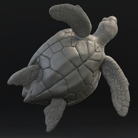 STL file Green sea turtle・Template to download and 3D print・Cults Sea Turtle Template, Beer Themed Cake, Turtle Template, 3d Turtle, Cardboard Sculptures, Resin Printing, 3d Ideas, Cardboard Sculpture, Beer Theme