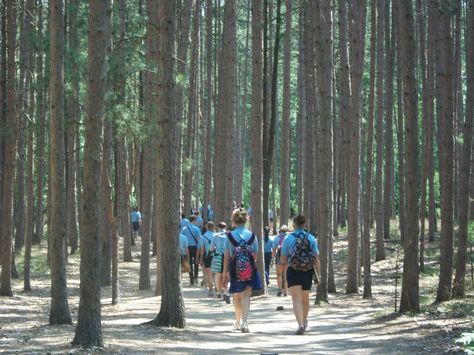 Blue Lake Fine Arts Camp, Camp Cabins, Outside Games, Camp Counselor, Camping Locations, A Love Letter, Public Park, Open Letter, Blue Lake