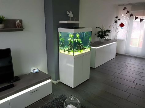 Entryway Mirror, Fish Aquarium, Fish Tanks, Aquarium Decorations, Aquariums, Aquarium Fish, Fish Tank, Modern Living Room, House Plans