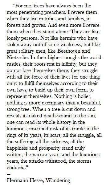 Trees ~ Hermann Hesse, Wandering Herman Hesse, Hermann Hesse, The Wisdom, Poetry Quotes, To Listen, Pretty Words, Beautiful Words, Inspire Me, Words Quotes