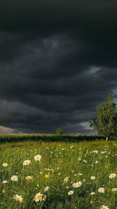 Aesthetic Gloomy Wallpaper, Bradley Core Aesthetic, Stormy Countryside, Woodsy Pictures, Kinsley Core, Yani Core, Limerence Aesthetic, Obsessive Aesthetic, Paige Aesthetic