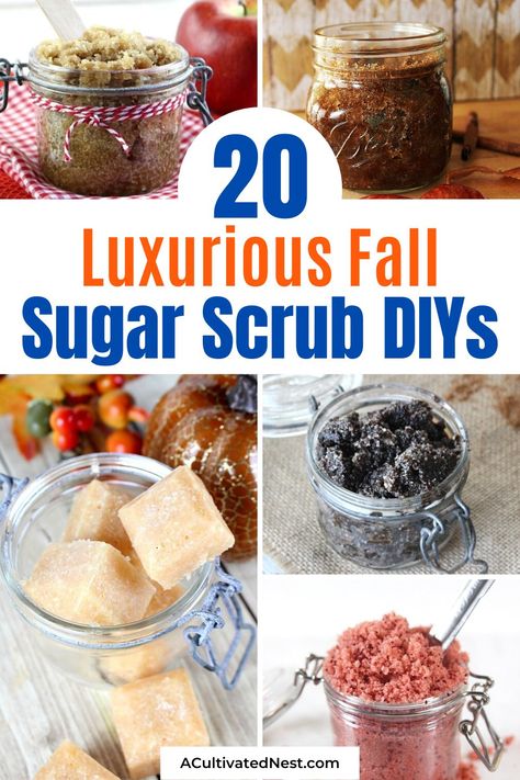 Fall Sugar Scrub, Cranberry Sugar Scrub, Christmas Sugar Scrubs, Salt Scrub Diy, Salt Scrub Recipe, Scrub Homemade, Oatmeal Scrub, Easy Diy Beauty Products, Diy Sugar Scrub Recipe