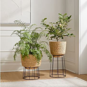 Hilo Basket Planters West Elm Home Office, Basket Planters Indoor, Boho Patio Furniture, Rattan Planters, Faux Olive Tree, Salon Suites, Indoor Outdoor Planter, Basket Planters, Modern Planters