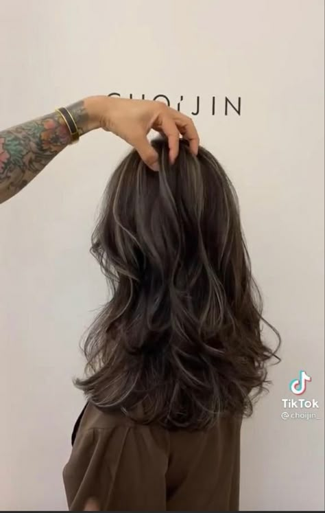 Black Hair W Highlights, Ash Black Hair Color, Hair Color 2017, Haircuts 2022, Shot Hair, Brown Hair Inspo, Wolf Cut, Shot Hair Styles, Hair Color For Women