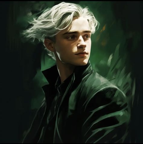 Scorpius Malfoy, Horror Vacui, Draco Malfoy Fanart, Harry Potter And The Chamber Of Secrets, Aaron Warner, Harry Potter Cake, Harry Potter Costume, Potter Art, Slytherin Aesthetic