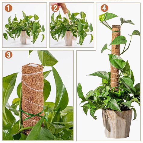 Plant Cages Supports Reusable Plant Climbing Stand Durable Flower Plants Support For Balcony Garden Courtyard Easy To Use - Plant Cages & Supports - AliExpress Garden Extension, Palm Plants, Creepers Plants, Plant Cages, Plant Ties, Support Pictures, Palm Plant, Coconut Palm, Coconut Fiber