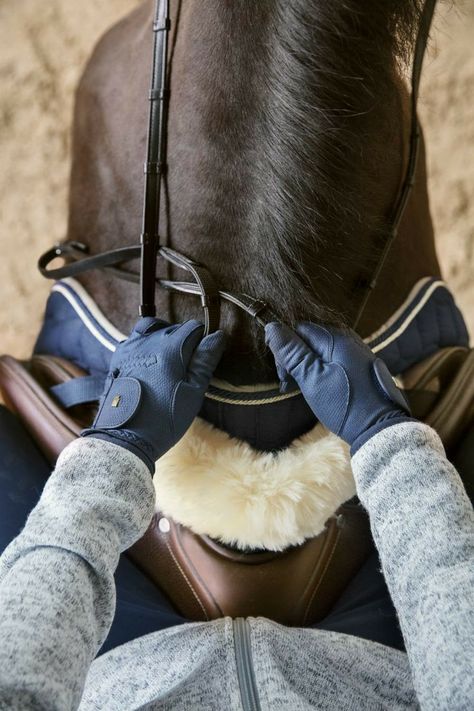 Horsey Life, Horse Riding Aesthetic, Equestrian Aesthetic, Horse Riding Clothes, Horse Inspiration, Horse Fashion, Horse Aesthetic, Horse Accessories, Equestrian Lifestyle