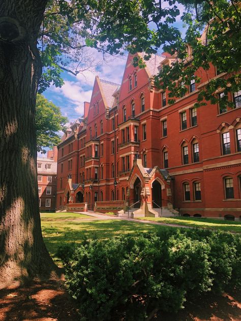 Harvard Dental School, Harvard University Campus Aesthetic, Harvard University Aesthetic Wallpaper, Harvard University Wallpaper, Harvard University Dorm, Harvard Poster, Harvard Student Aesthetic, Harvard University Aesthetic, Harvard Pictures