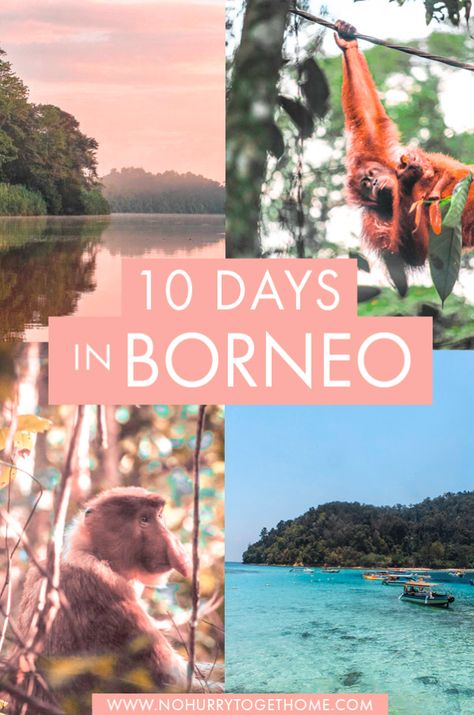 Borneo Itinerary: 10 Days Through Sarawak + Sabah Borneo Itinerary, Borneo Malaysia, Borneo Travel, Melaka, Malaysia Travel, Travel Destinations Asia, Asia Travel Guide, Southeast Asia Travel, Solo Female Travel