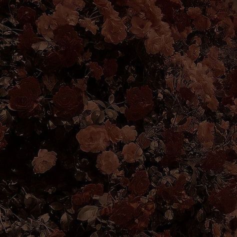 Brown Aesthetic Vintage Background, Dark Brown Aesthetic Vintage Background, Flowers Brown Aesthetic, Dark Brown Aesthetic Vintage, Brown Flowers Aesthetic, Dark Brown Wallpaper Aesthetic, Aesthetic Vintage Background, Brown Aesthetic Dark, Brown Aesthetic Vintage