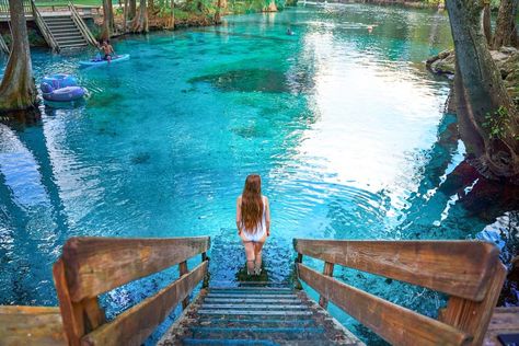 woman in white bathing suit walking down into Ginnie Springs, one of the prettiest springs in Florida Florida Springs Map, Caramel Macaroons, Natural Springs In Florida, Ginnie Springs, Springs In Florida, Places To Go In Florida, Florida Vacation Spots, Ocala National Forest, Florida Travel Destinations